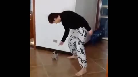 Cute Puppy dances with Owner