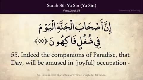 Surah yasin arbic and english translaction