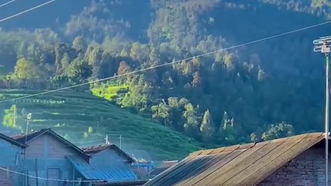 VIRAL‼️Neval Van Java Exotic Enchantment on the Slope of Mount Sumbing