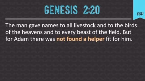 Bible has the Answers & is the Truth - the foundation is Genesis - 2921 UKMC pt 2