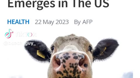 JULIE GREEN🤲 MINISTRIES WORD RECEIVED 3-30-22 MAD COW DISEASE WILL BE IN YOUR HEADLINES AFFECTING OTHER NATIONS