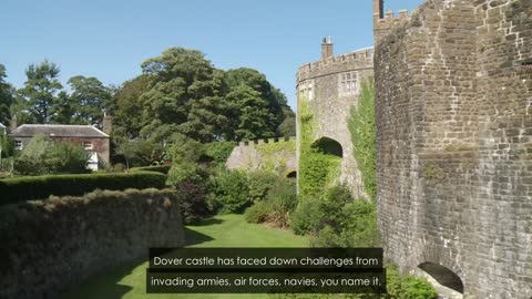 English castles face a growing threat from weeds