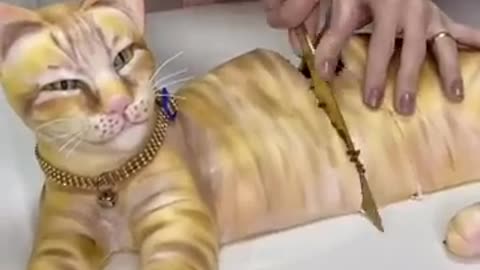 Cutting a cat cake