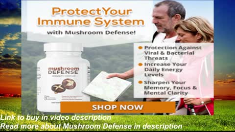 Boost your immune system with Mushroom Defense, a powerful supplement with antioxidants