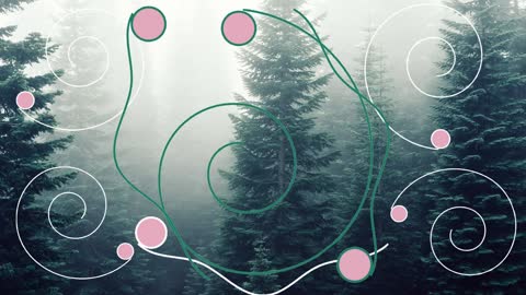 Screen Saver Background Romantic Abstract Moving Particles Beautiful and Relaxing Foggy Fresh Air Forest with Pine Trees