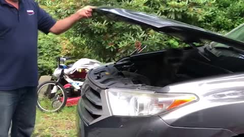 Raccoon Found Hiding Under Car Hood