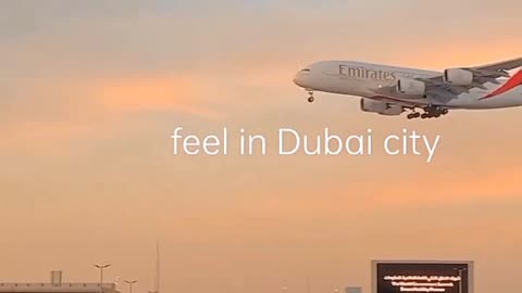 Flights lovely movment \\ in Dubai city \\