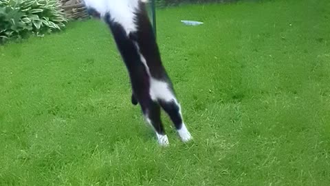 Slow-mo Loki.