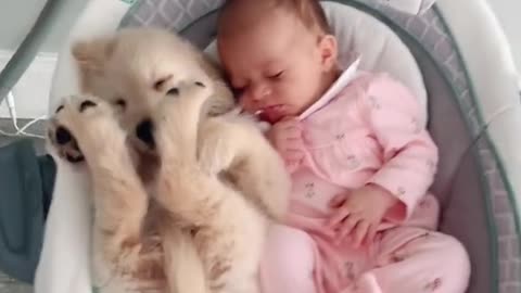 Cute puppy and baby sleeping with wonderful music