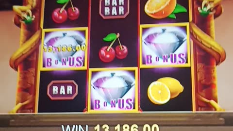 Won 13k INR From Daman casino