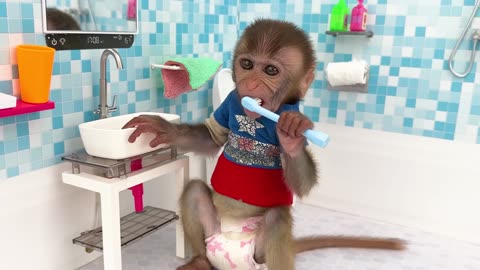 Baby Monkey Chu Chu brush his teeth in the toilet and eat egg with puppy_ duckling in the garden