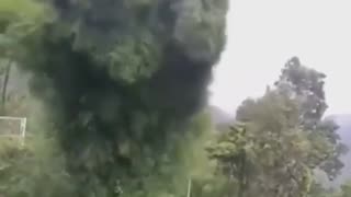 A tree 🌳 "dancing" in the wind