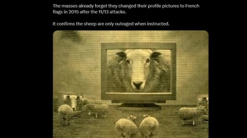 Clandestine - Sheep