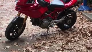 Ducati multistrada 1000s ds