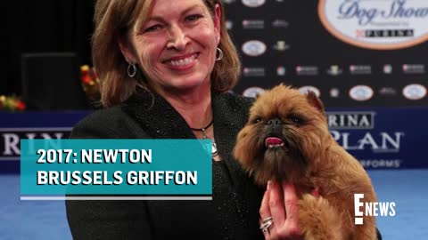 National Dog Show_ Meet This Year's BEST IN SHOW _ E! News