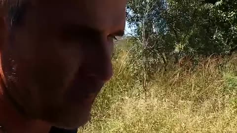 A man in africa communicating with lion 🦁 does he knows lions language ? 🧐