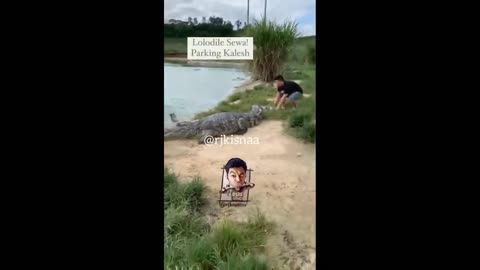 lolodile 🐊 funny dub video 😂 - lolodile sewa - crocodile funny video - rj kisna dub kendra