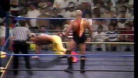 Clash of the Champions 15 - Knocksville USA - June 12, 1991