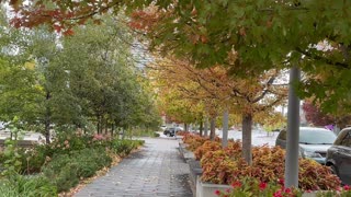 Fall view in Toronto