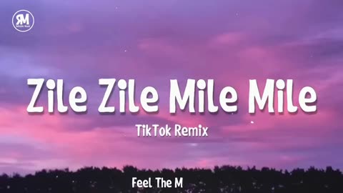 Zile Mile Song (REMIX)