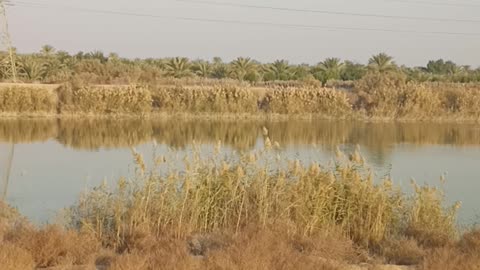 Beautiful nature with a wonderful river