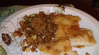 Meal, Delish Asian Thai Cuisine, N Telegraph Rd, Dbn Hgts, MI, 12/3/23