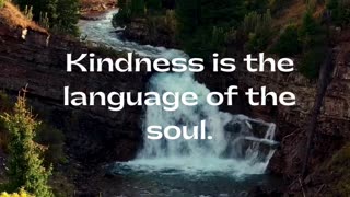 Learn how kindness transcends boundaries and speaks to the depths of the soul.