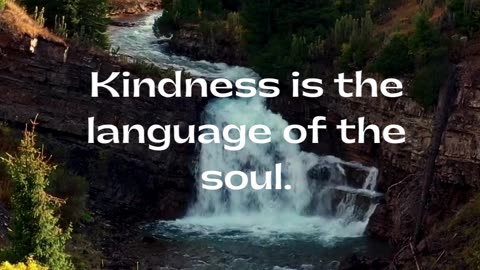 Learn how kindness transcends boundaries and speaks to the depths of the soul.