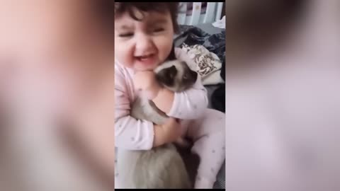 Best Funniest Animals 2023 😍 Funniest Dogs And Cats Videos 🐱🐶 #59 #P4 PAPPU