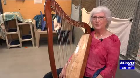 Volunteer plays harp to soothe animals living in shelter