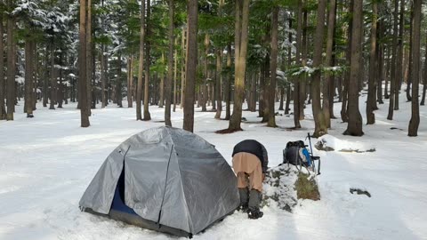 Solo camping in forest swat valley kalam