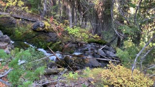 Eastern Oregon – Strawberry Lake + Wilderness – Strawberry Creek