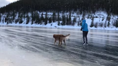 Dog joins owners for a windy skate on majestic frozen lakew