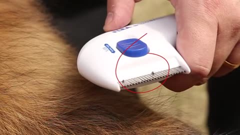 Flea Doctor Electric Comb