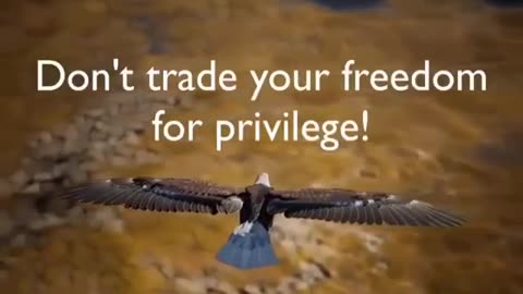 Privilege vs Freedom.