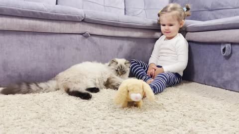 Baby and Cat Reaction to a New Toy