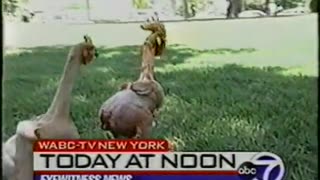 May 22, 2002 - Lori Stokes Previews New York City's Noon News