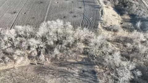 Video of Russian paratroopers taking three Ukrainian strongholds