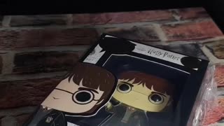 Funko × Harry Potter Pin Collection #harrypotter #pincollector #shorts