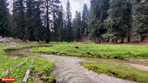 Taif Banda Swat Pakistan