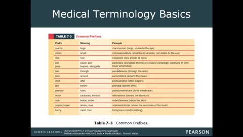 AEMT Ch 07 Medical Terminology