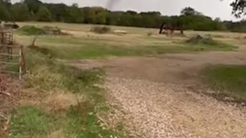 Dramatic videos show tornadoes tearing through parts of Texas.