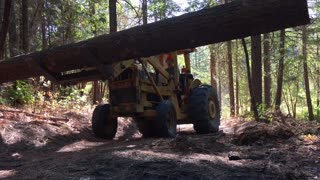 Logging With a Farmi 501 Tractor Winch for Woodmizer LT15 Sawmill