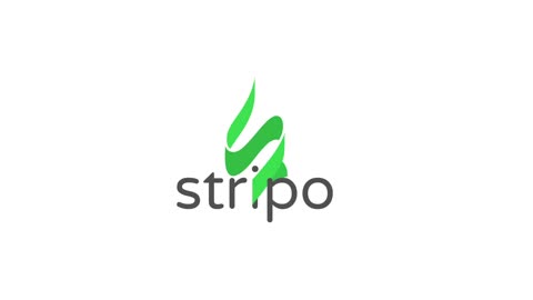 Stripo presents: Branded Template Generator