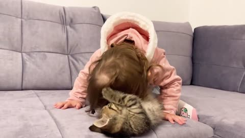 Cute cat Playing with cute baby.