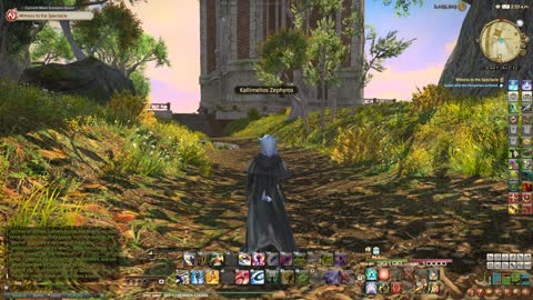 FFXIV Endwalker MSQ 66-Witness to the Spectacle