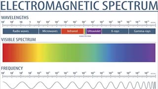 The Holographic Nature of Reality