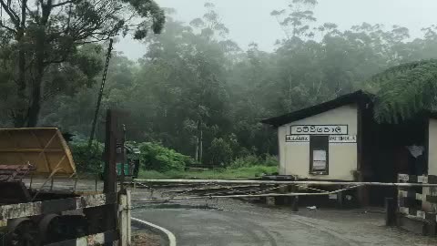 Pattipola - Highest elevated railway station in Sri lanka