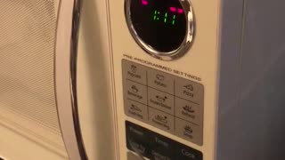 Beeping Cockatiel Loves Imitating Microwave