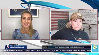 427: ARIZONA UPDATE - Fraud, Maladministration, Procedures Violations & More - MICHELE SWINICK & ANN VANDERSTEEL - The Zelenko Report